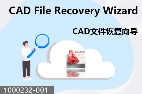 CAD文件恢復向?qū)?                                1000232-001