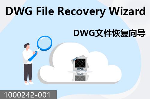 DWG文件恢復向?qū)?                              1000242-001