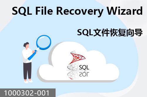 SQL文件恢復向?qū)?                              1000302-001