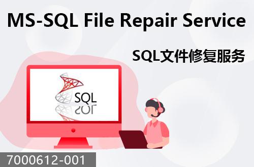 SQL文件恢復(fù)服務(wù)                                7000612-001