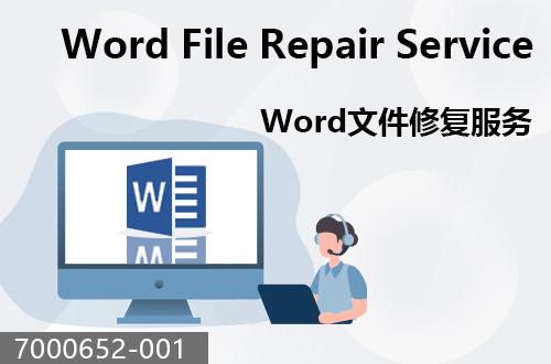 WORD文件恢復(fù)服務(wù)                               7000652-001